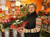 I květinářství se připravují na valentýnský svátek. Ivana Fialová vede jedno v Břeclavi.