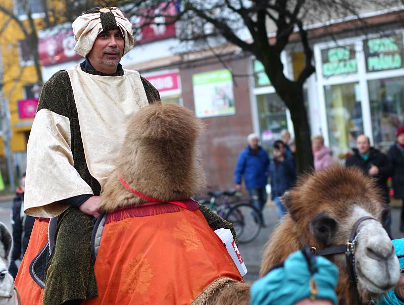 Břeclaví prošel tříkrálový průvod. S velbloudem a lamou.