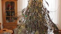 Třicet originálních květinových stylizací vánočních stromků nabídl o víkendu Rybniční zámeček u Lednice. Pestrá expozice, která zahrnovala třeba i vinařský stromek se skleněnými lahvemi, přilákala stovky návštěvníků.