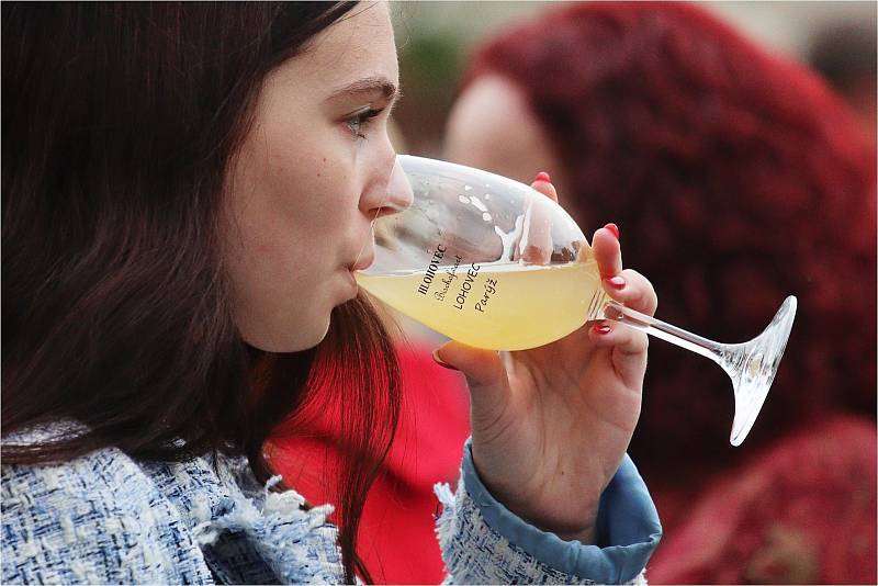 Ohlédnutí za vinobraním v Hlohovci.