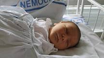 Simeon Daniel, 12.2. 2018, 2.50, 50 cm, 3490 g, Brodské