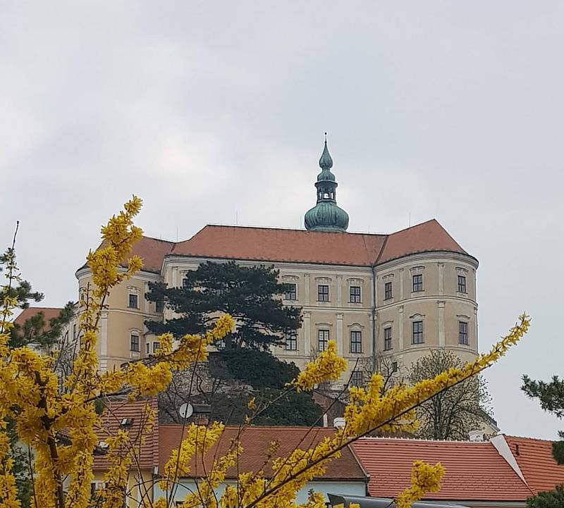 Na krásná místa se rádi vracíme. Mikulov je pro mnohé obyvatele i návštěvníky srdeční záležitostí.