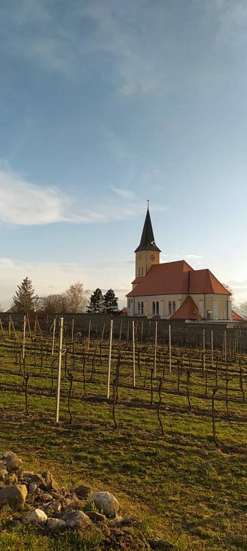 Vinařská oblast  oplývá celou řadou památek.