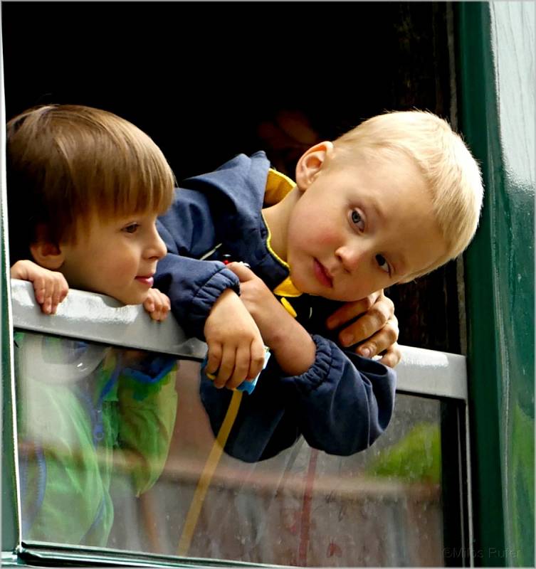 Tradiční vyhlídková jízda parního vlaku na trati Břeclav - Lednice.