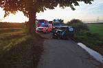 Auto u Valtic na Břeclavsku narazilo v pátek večer do stromu.