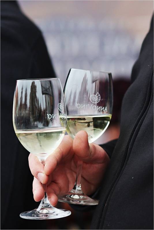 Svatomartinská vína ochutnali lidé také ve Valticích.