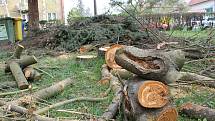 V břeclavské lokalitě Dubič káceli zaměstnanci města stromy, vysadit by tam měli nové. 