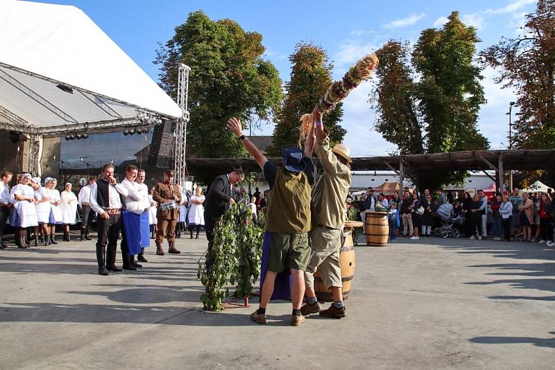 Ohlédnutí za letošním vinobraním ve Velkých Pavlovicích.