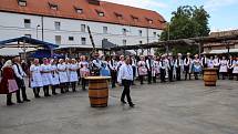 Ohlédnutí za letošním vinobraním ve Velkých Pavlovicích.