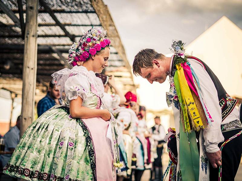 Krojované hody ve Velkých Pavlovicích v roce 2019.