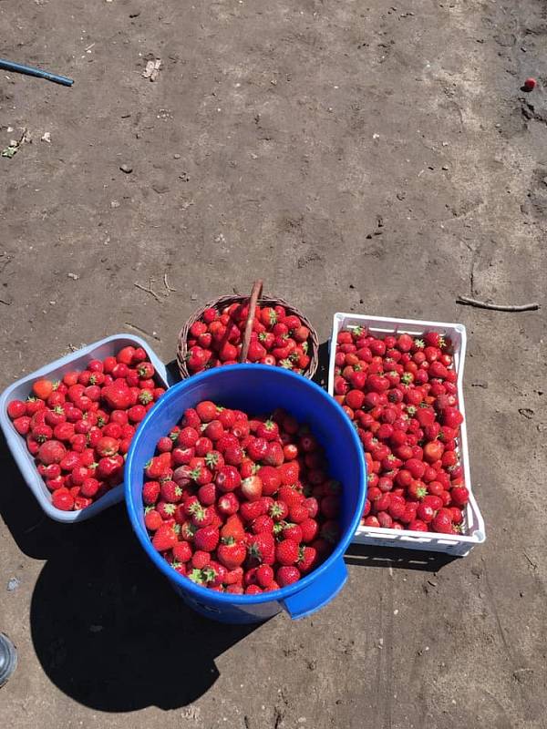 27kilo, děkujeme, napsala Vendula Veselá.