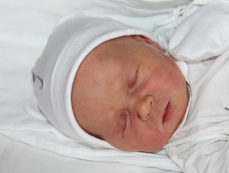 Diana Gážovičová, 11.10.2015, Trnava, 50 cm, 3,3 kg