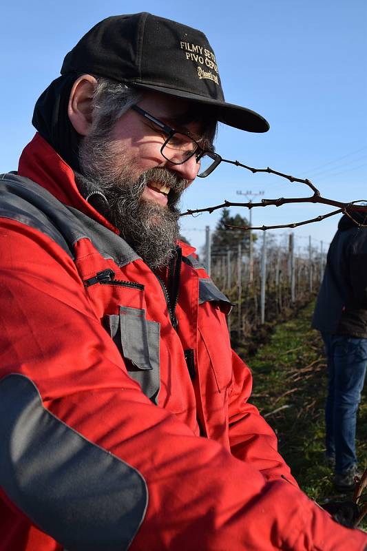 Výčepní, servírky, číšníci či kuchaři ze sítě restaurací Hospodska z Prahy a Plzně dorazili na brigádu do Valtic, kde pomáhají s prací ve vinohradech tamnímu Vinařství Obelisk.