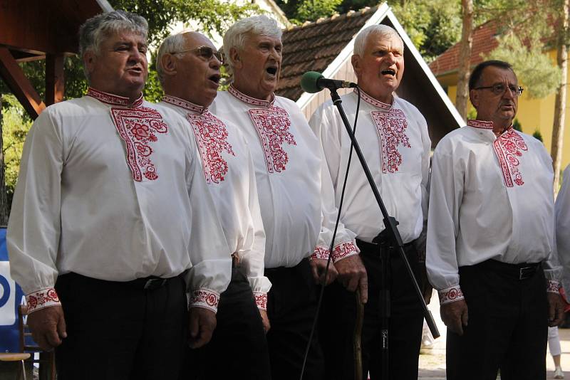 Milovníci folkloru a krojů si dali v sobotu setkání ve Starovicích. V tamním areálu U Myslivny se sešlo okolo tří stovek krojovaných z Břeclavska i dalších regionů. Přijeli dokonce i folkloristé ze Slovenska.