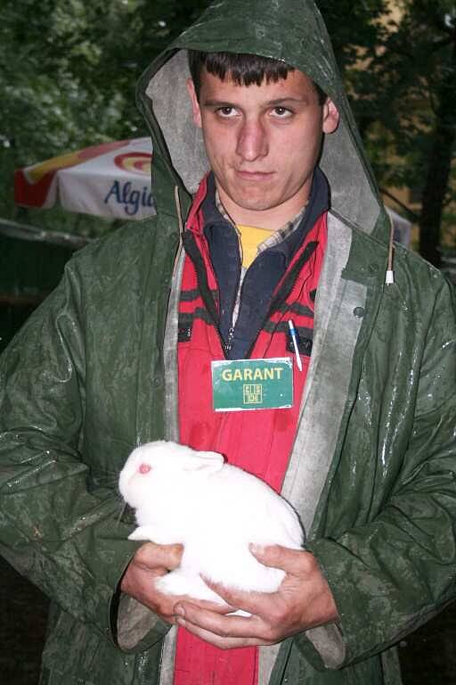 Výstava mladých králíků