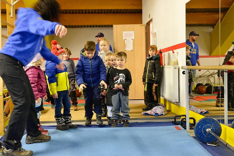 Břeclavští Lvi se zapojili do desátého Týdne hokeje a poslední listopadovou sobotu pozvali na zimní stadion děti, aby si vyzkoušely hokejový trénink.