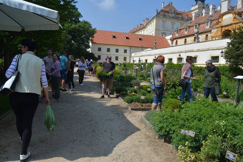 Věra Žďárská je odborná garantka valtické bylinkové zahrady. Zajišťuje pro veřejnost rovněž širokou paletu zajímazvých kurzů.