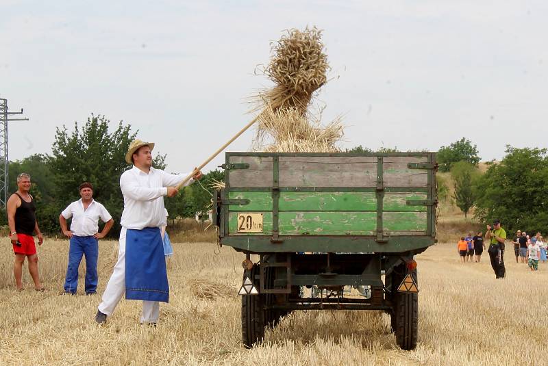 V Drnholci byla k vidění ukázka dobových žní a historické techniky