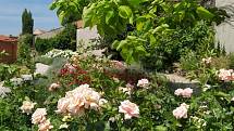 Zámecké zahrady v Mikulově jsou na počátku léta v plném květu.