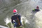 Jednatřicet zimních a šestnáct ploutvových plavců se vrhlo na druhý svátek vánoční do vln řeky Dyje v Břeclavi. Při akci Vánoční kilometr.