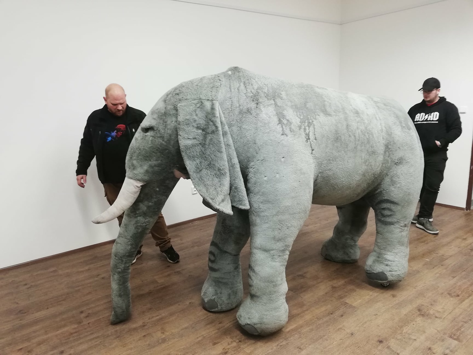 V chalupě je slon! Kobylské muzeum připravuje výstavu o cestovateli  Stinglovi - Břeclavský deník