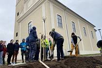 Vedle kostela v Moravské Nové Vsi vyroste nová alej. Po třech letech po tornádu