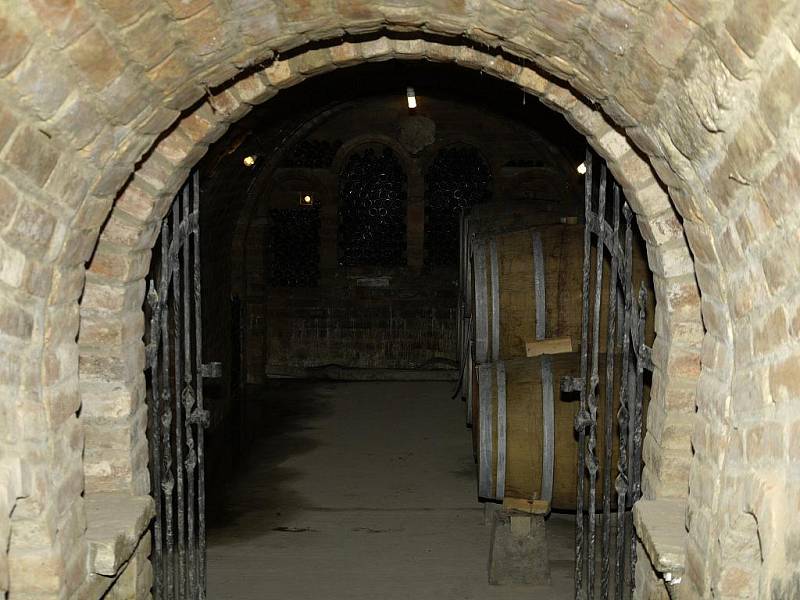 Za Rakvicemi mezi vinohrady vyrůstá penzion s vinárnou. Budova, jež dominuje širokému okolí, patří tamnímu vinaři Oldřichu Michlovskému.
