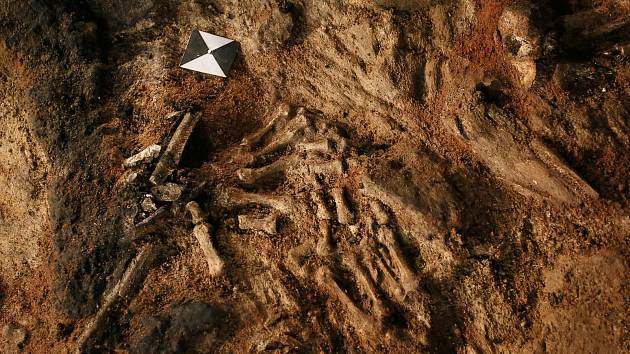 Archeologové nalezli na dně hradeb břeclavského zámku kostry tří lidí, kteří pravděpodobně zemřeli násilnou smrtí.