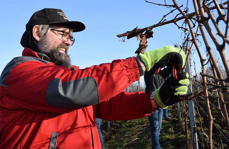 Výčepní, servírky, číšníci či kuchaři ze sítě restaurací Hospodska z Prahy a Plzně dorazili na brigádu do Valtic, kde pomáhají s prací ve vinohradech tamnímu Vinařství Obelisk.