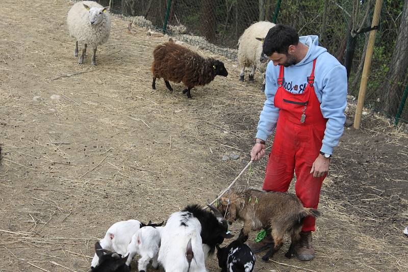 Asi padesát nadšenců se zúčastnilo sobotní Jarní šlapky ve Velkých Pavlovicích. Při pochodu si opekli špekáčky i ochutnali víno.