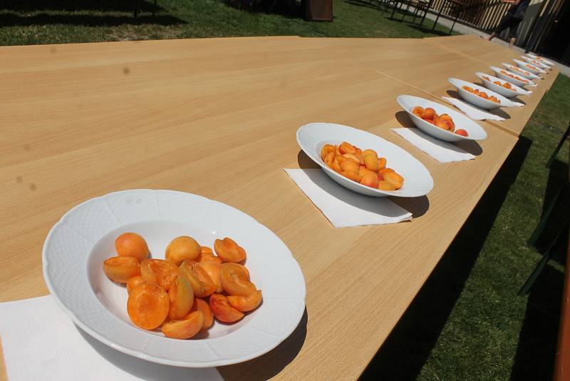 Milovníci meruněk se sešli v sobotu při Velkopavlovickém meruňkobraní. Kromě ochutnávky specialit z tohoto ovoce si mohli i zasoutěžit.
