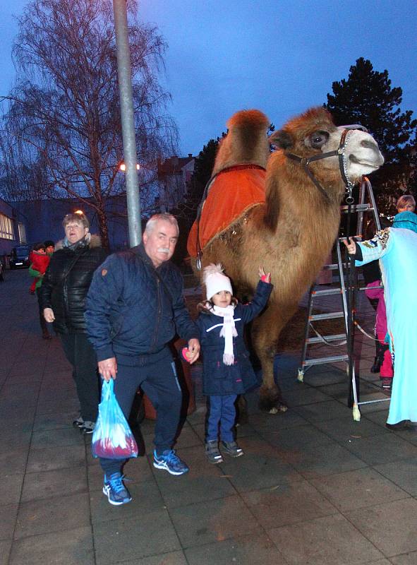 Břeclaví prošel tříkrálový průvod. S velbloudem a lamou.