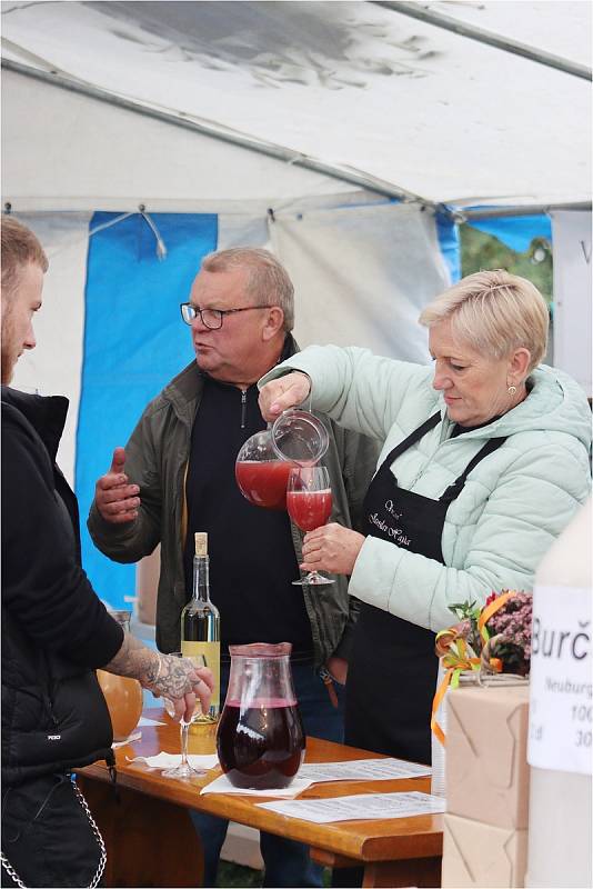 Ohlédnutí za vinobraním v Hlohovci.