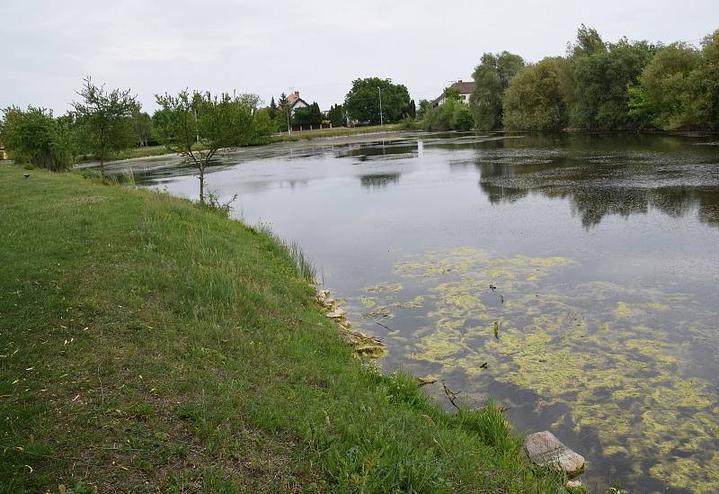 Redakce Deníku se vydala do jedné malebné obce na Břeclavsku. Poznáte podle fotografií, o jakou se jedná?