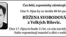 Společenská rubrika