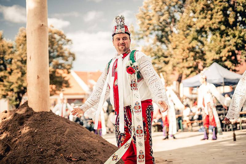 Ohlédnutí za tradičními hody v Lanžhotě.