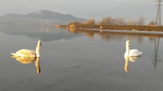 Zimní poezie nad hladinou Nových Mlýnů.