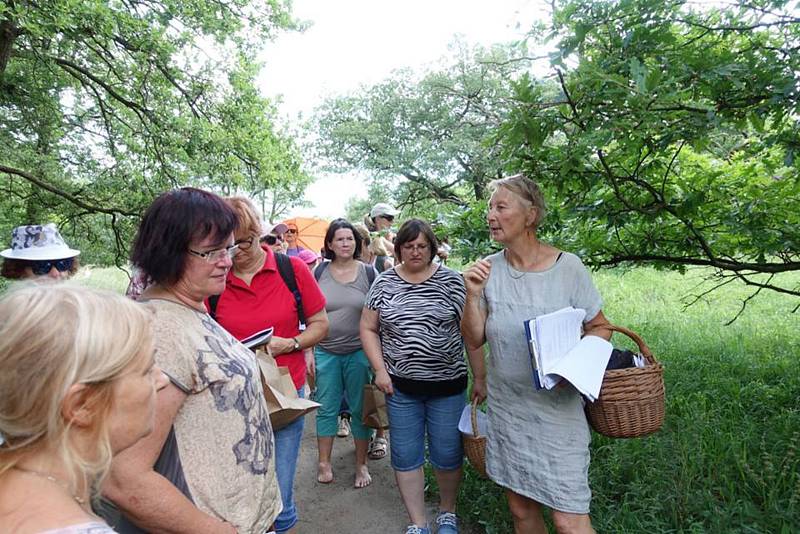 Věra Žďárská je odborná garantka valtické bylinkové zahrady. Zajišťuje pro veřejnost rovněž širokou paletu zajímazvých kurzů.