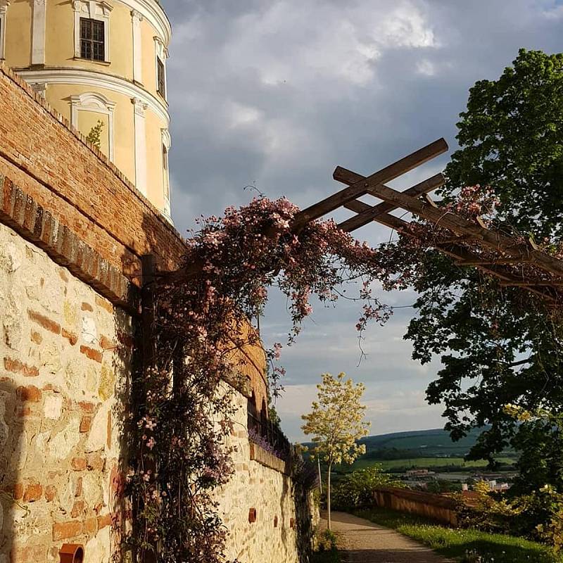 Na krásná místa se rádi vracíme. Mikulov je pro mnohé obyvatele i návštěvníky srdeční záležitostí.