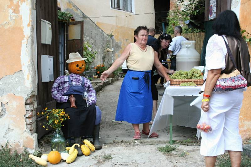 Od pátečního odpoledne baví návštěvníky vinobraní v Mikulově hvězdy československé hudební scény i regionální cimbálové muziky. Ulice města jsou plné lidí, burčáku a zábavy.