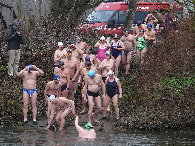 Do ledové Dyje se ponořilo u Pohanska přes osmdesát plavců.