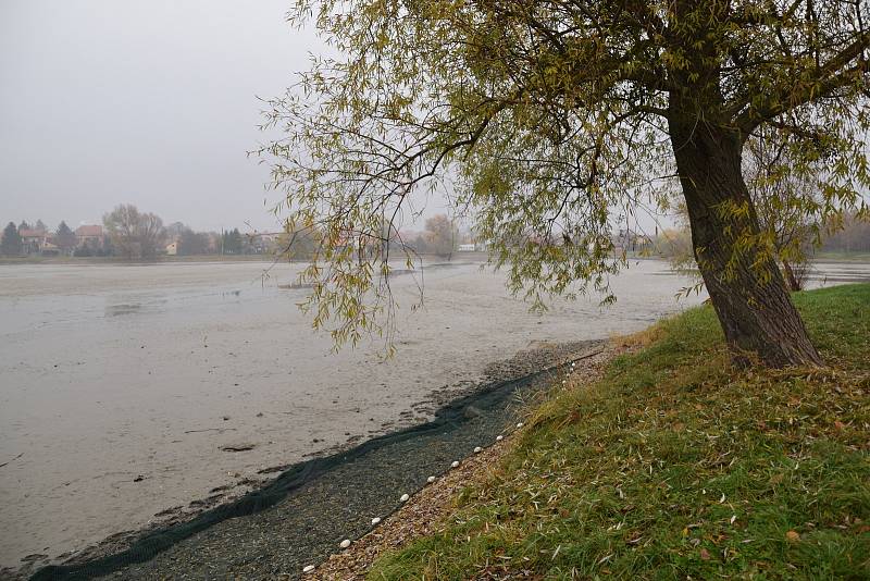 V sobotu se v Lanžhotě konal výlov rybníka Kout.