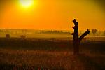 FOTO: Krásný východ slunce nad Zaječím okouzlil čtenářku Veroniku Svobodovou