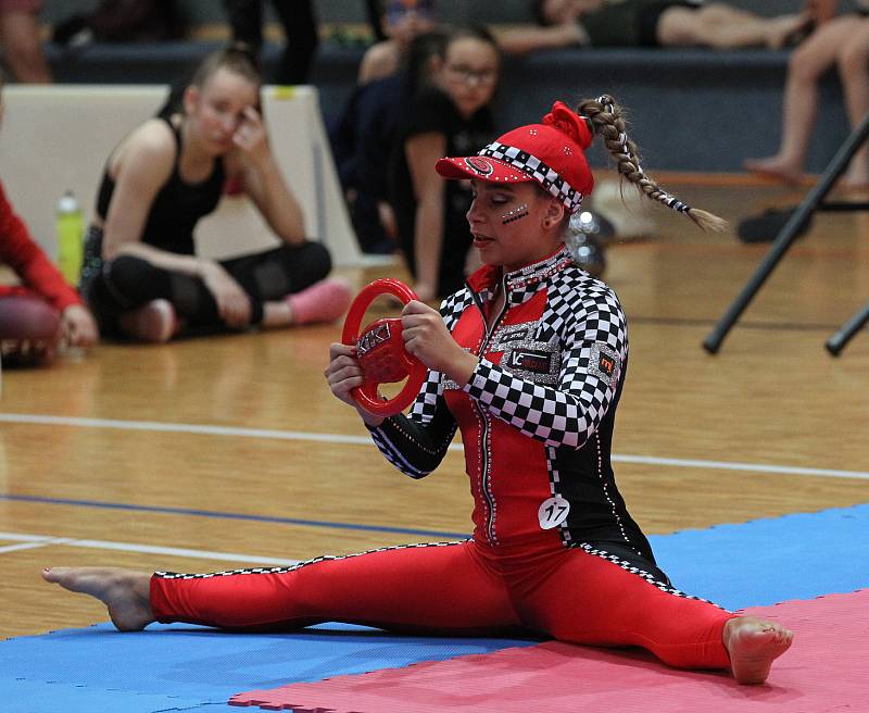 Sportovní hala v Lužicích hostila mistrovství republiky ve fitness.