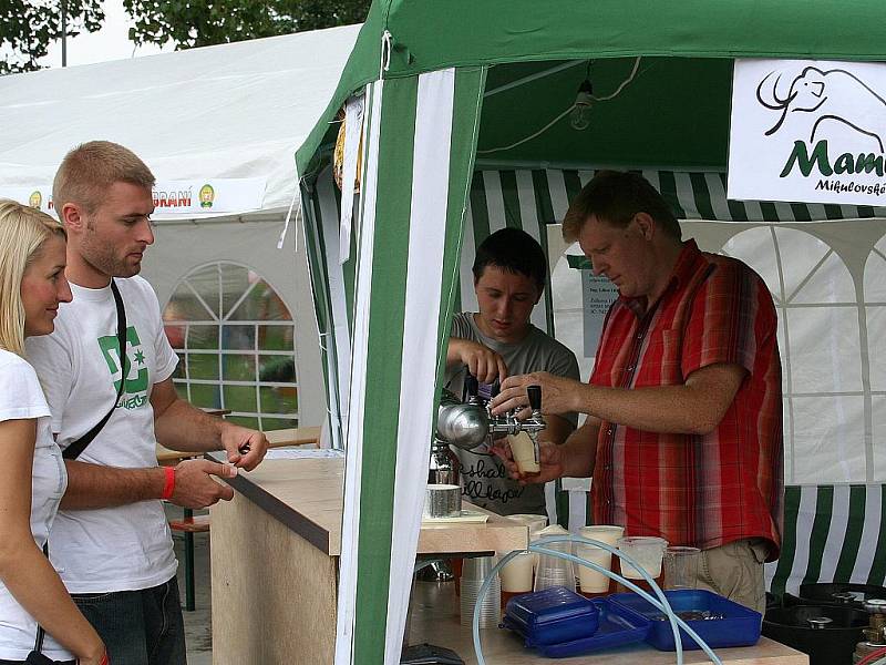 Mikulovské pivobraní přilákalo za dva dny téměř tři tisíce lidí. V amfiteátru mohli ochutnat i mikulovské pivo.