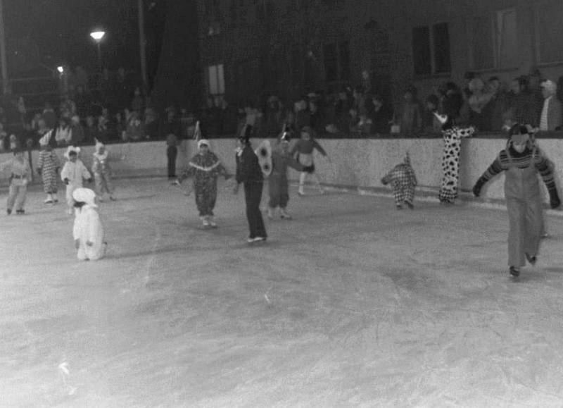 Karneval na ledě na břeclavském zimním stadionui.