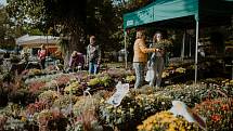 Podzimní Flora Olomouc