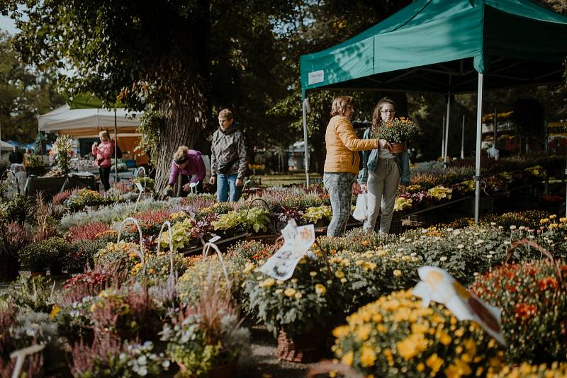 Podzimní Flora Olomouc