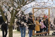 Letošní nedělní účast na Mandloňových slavnostech byla podle místních srovnatelná s loňským rokem.