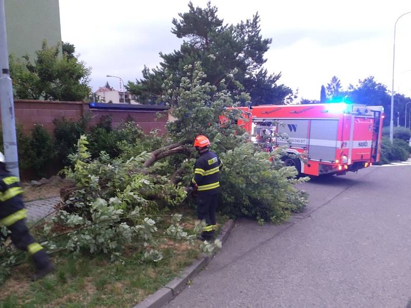 Nejvíce zásahů měli hasiči v okresech Břeclav a Hodonín. Ve většině případů se jedná o popadané stromy a ulomené větve. Bylo poškozeno i několik střech.